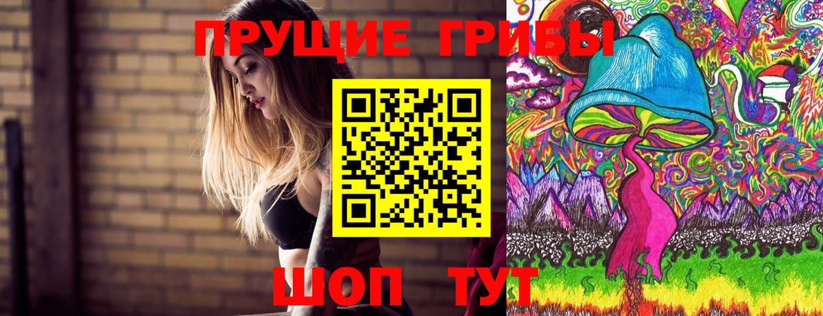 Галлюциногенные грибы Psilocybine cubensis  Псилоцибиновые грибы Cubensis  Зерноград  Вход с VPN 