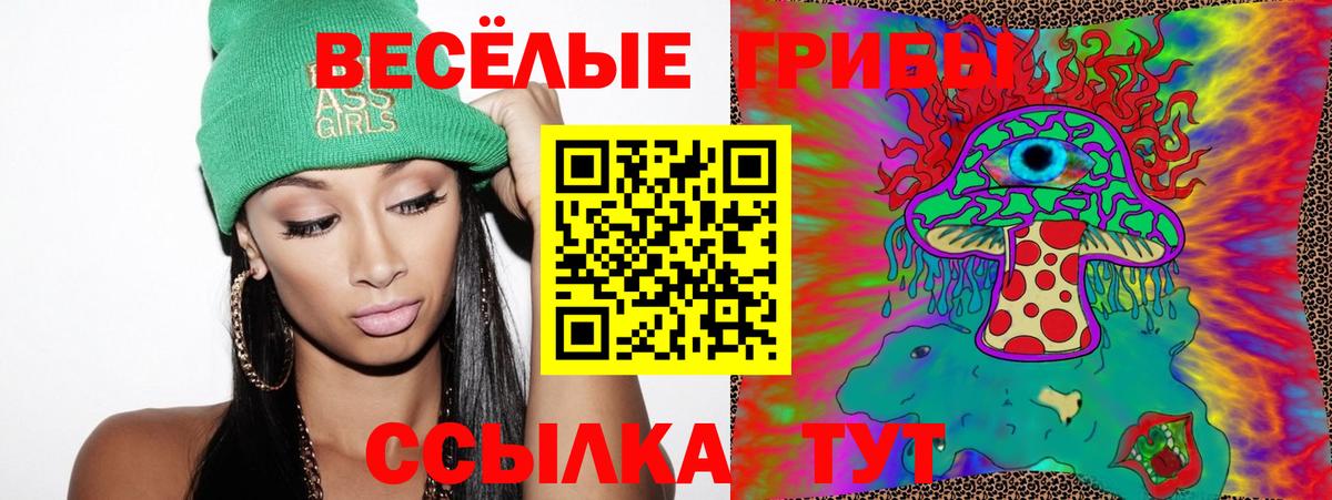 Галлюциногенные грибы Cubensis Зерноград